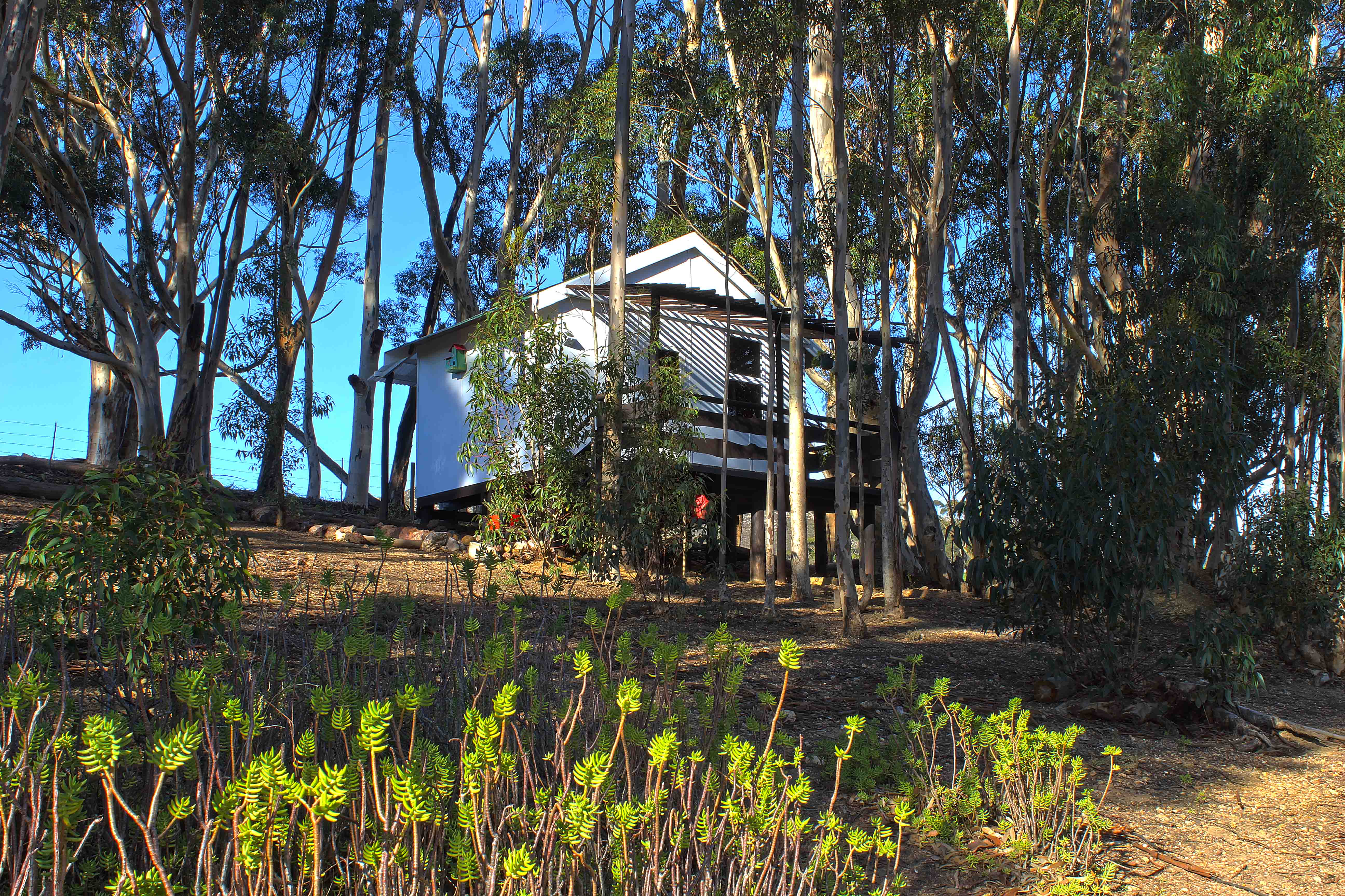 The Guest House.
