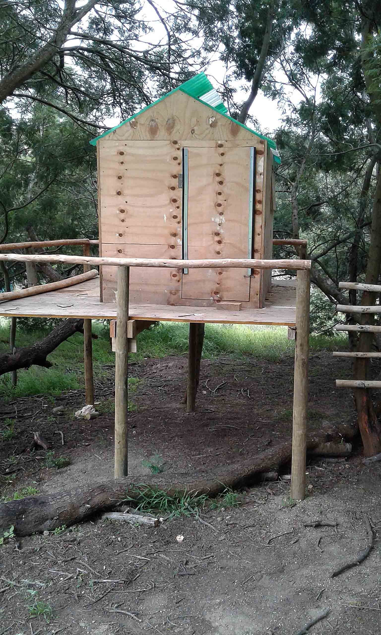 My Garden.
