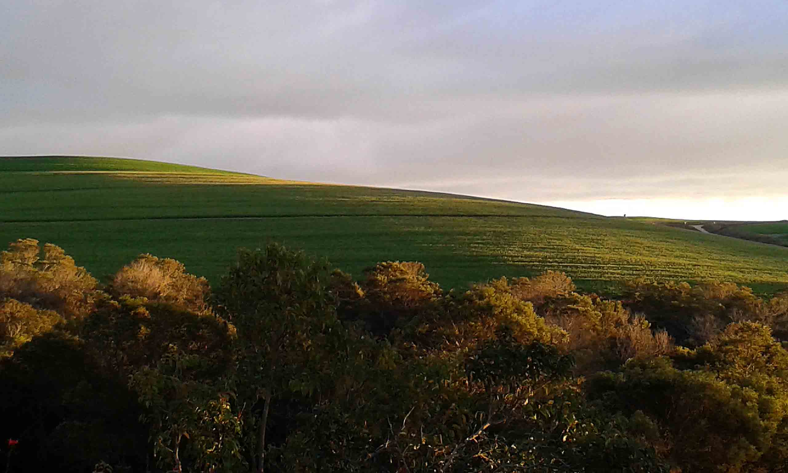 The view from my home.