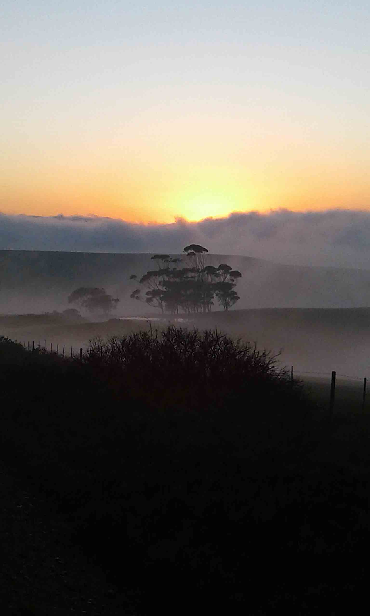 The outskirts of my home.