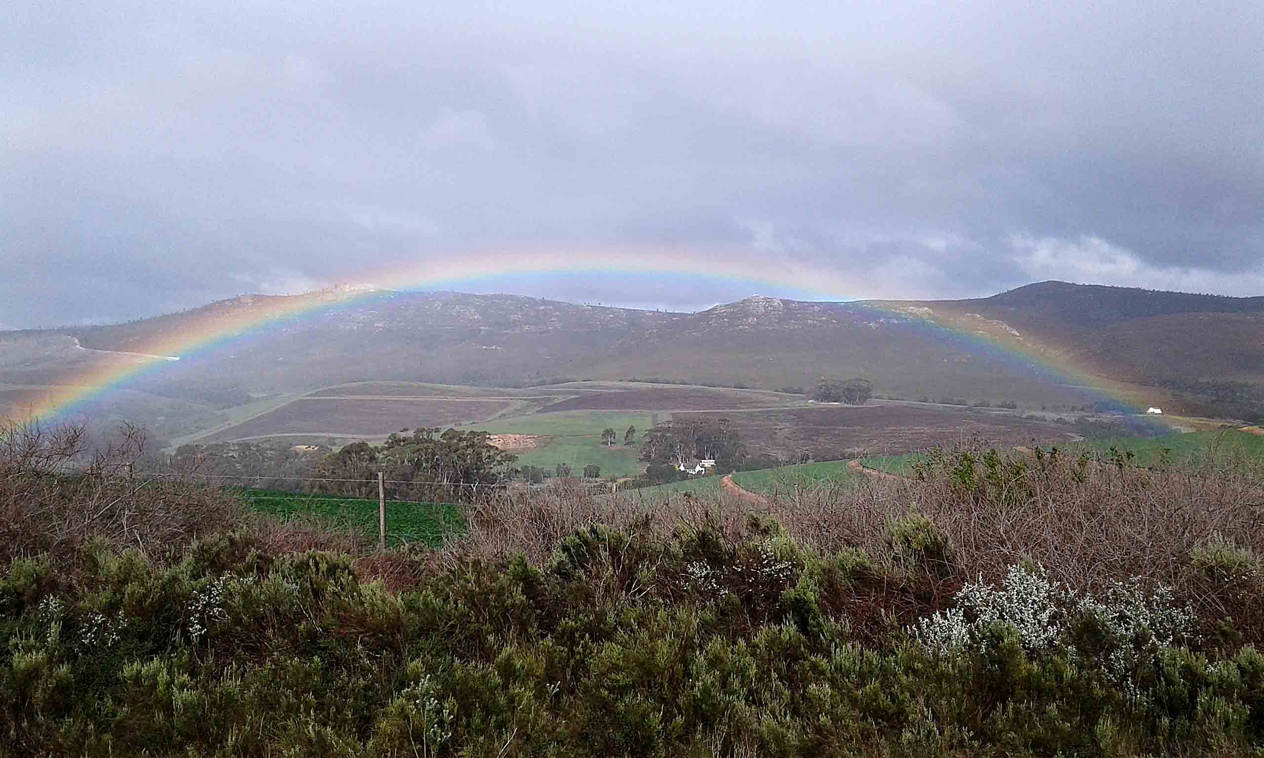 Rainbow over my house