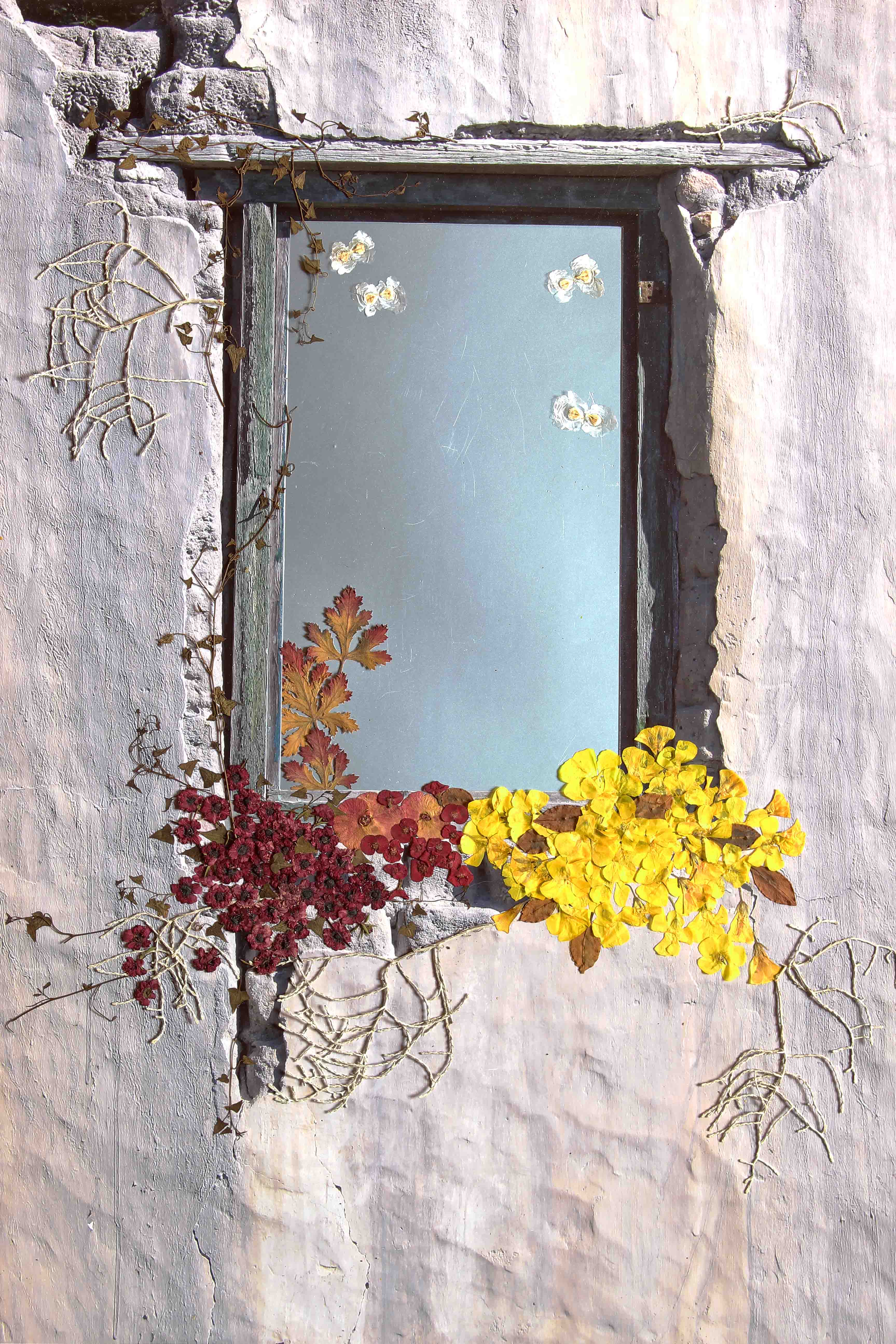 Aunt Polly’s Window / Ant Polly se Venster of Achter de Geraniums Shijnt de Zon.