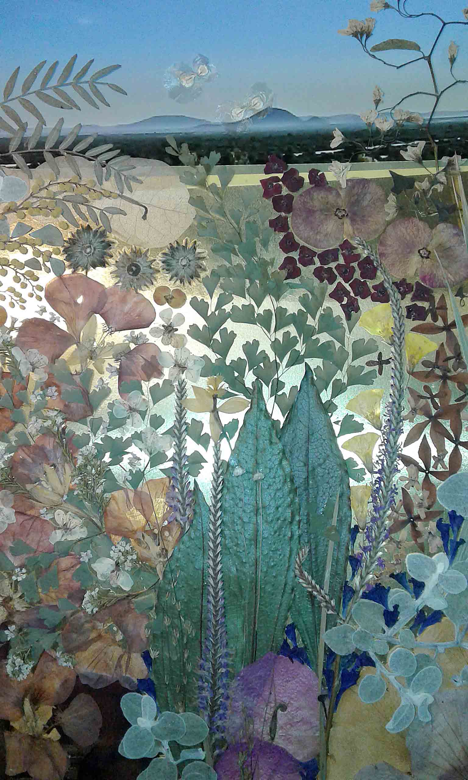 Maud’s Garden.